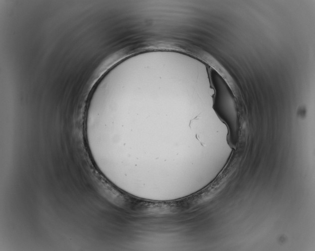 X0000101201002200807251021