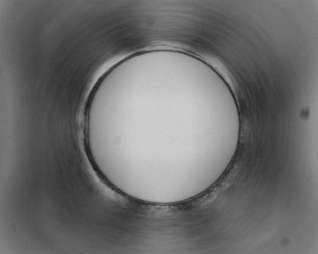 X0000101201003200807251021