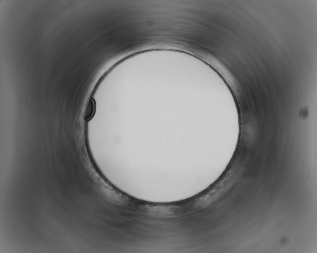 X0000101201004200807251021