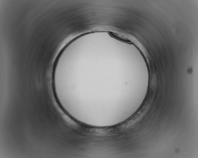 X0000101201005200807251021