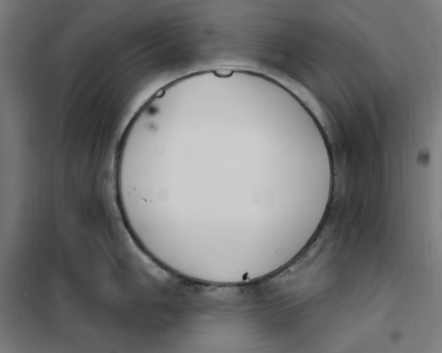 X0000101201006200807251021