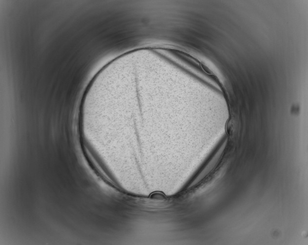 X0000101201007200807251021