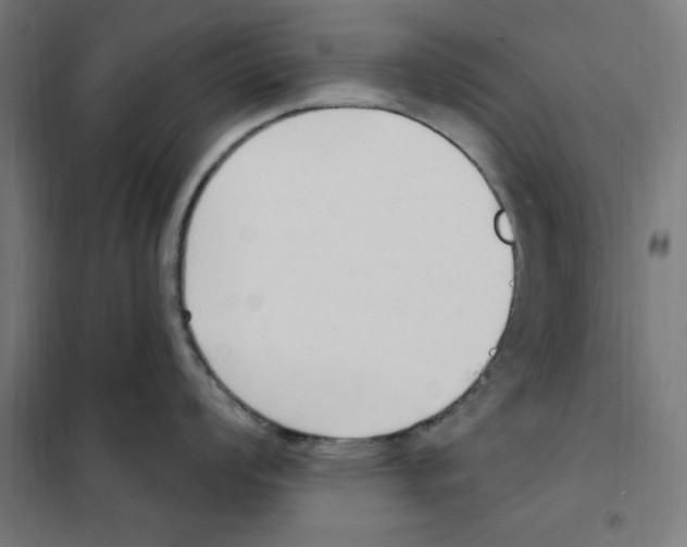 X0000101201008200807251021