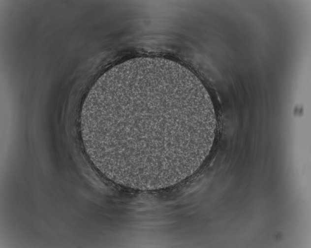 X0000101201009200807251021