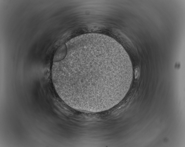 X0000101201011200807251021