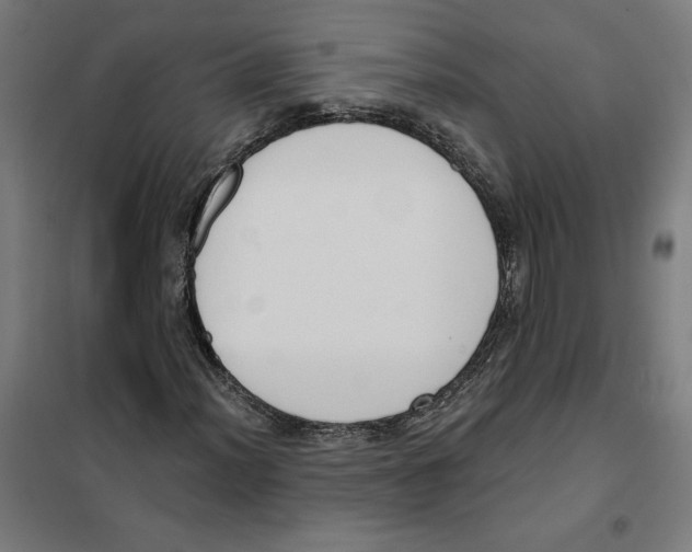 X0000101201012200807251021