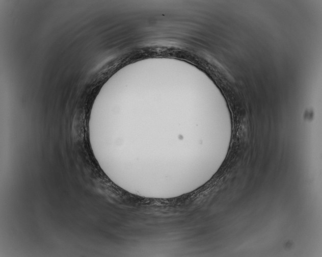 X0000101201014200807251021