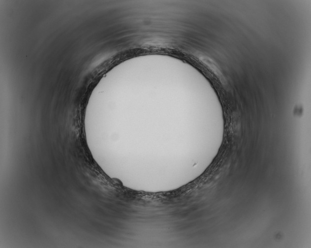 X0000101201015200807251021