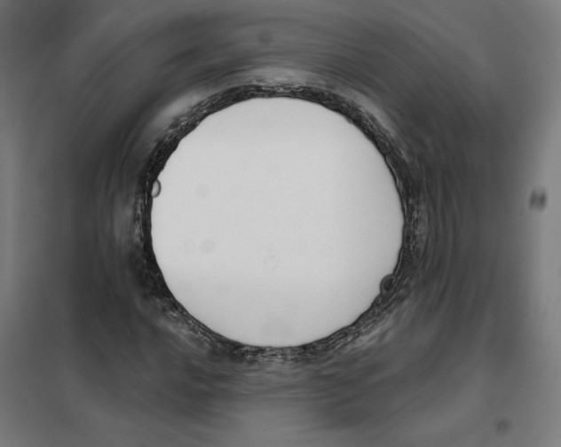 X0000101201016200807251021