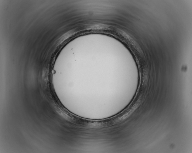 X0000101201017200807251021