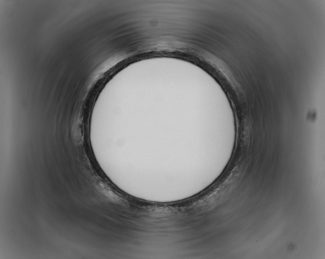 X0000101201018200807251021