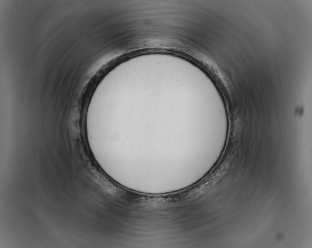 X0000101201019200807251021