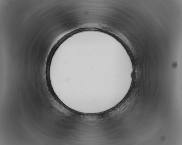 X0000101201020200807251021