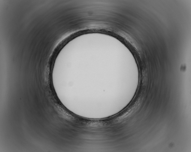 X0000101201021200807251021