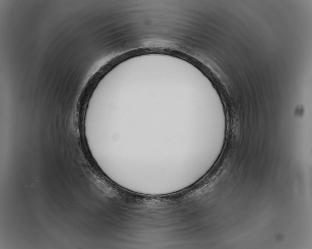 X0000101201022200807251021