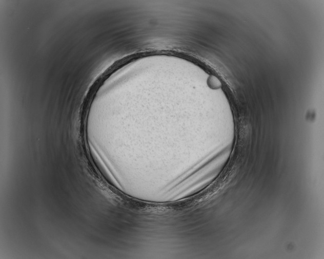 X0000101201023200807251021