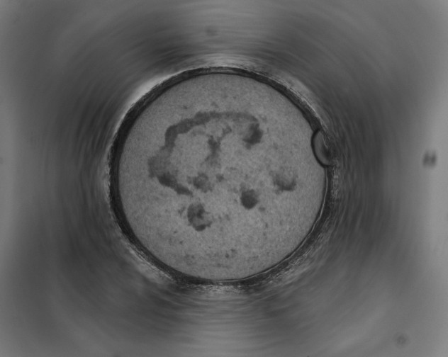 X0000101201024200807251021