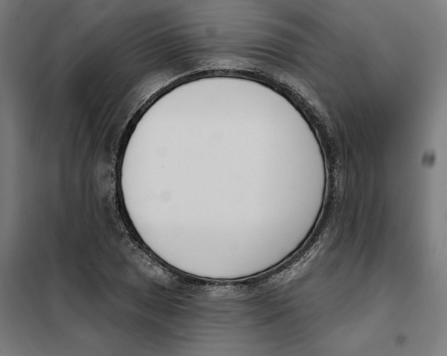 X0000101201025200807251021