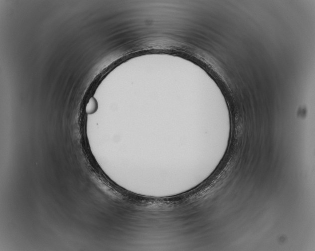 X0000101201026200807251021