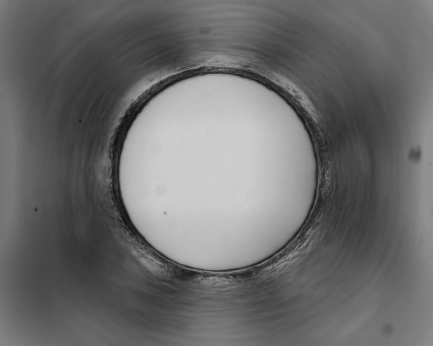 X0000101201027200807251021