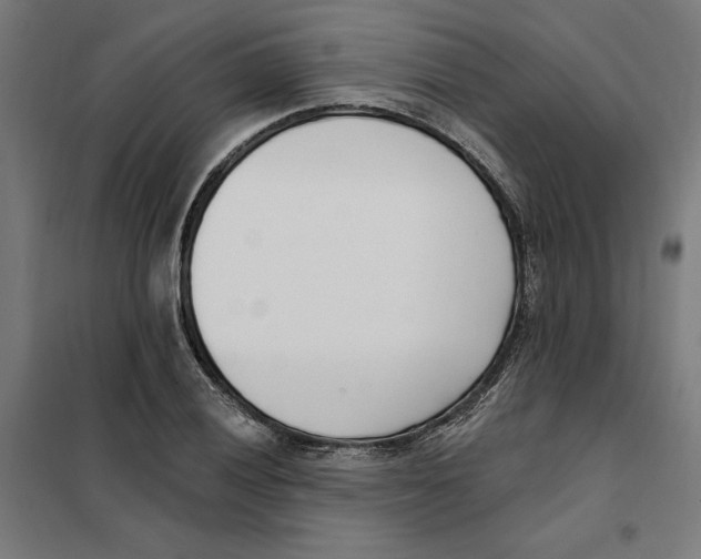 X0000101201028200807251021