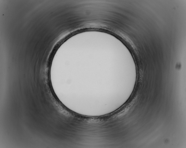 X0000101201029200807251021