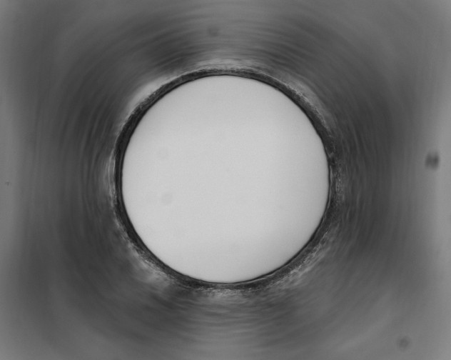 X0000101201030200807251021