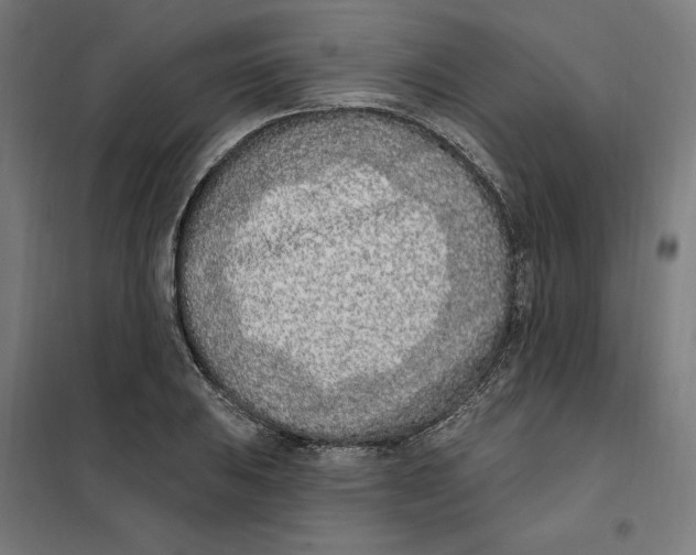 X0000101201031200807251021