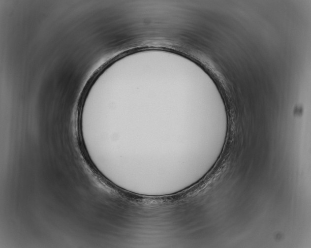 X0000101201032200807251021