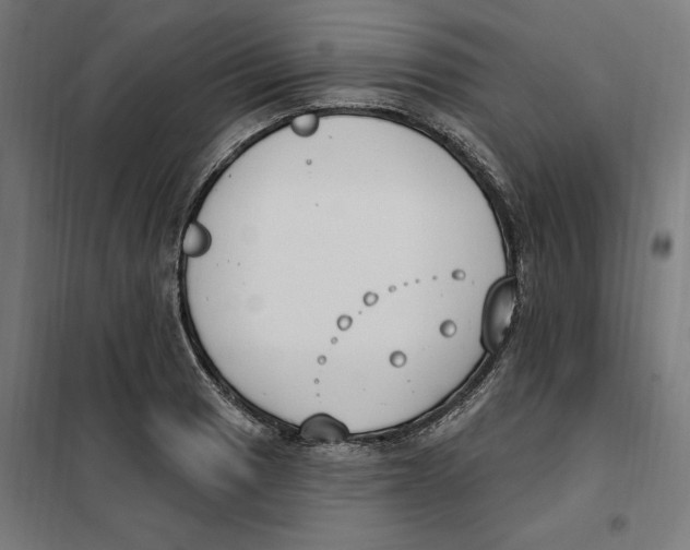 X0000101201033200807251021