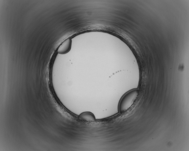 X0000101201034200807251021