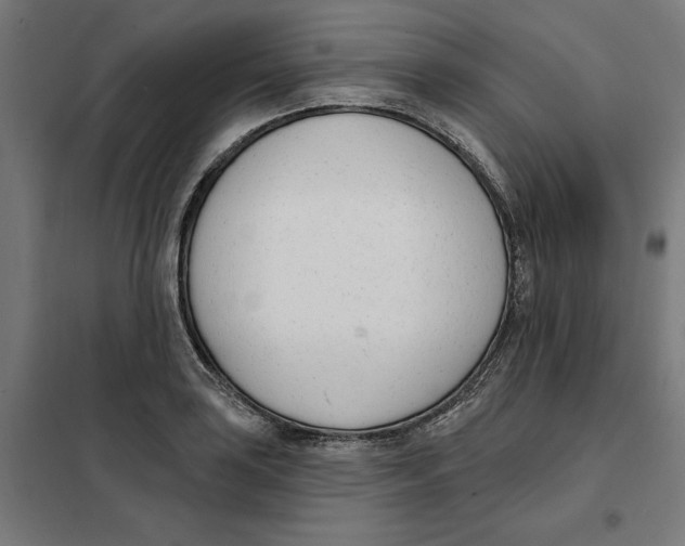 X0000101201035200807251021