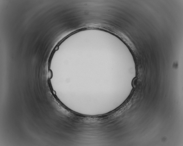 X0000101201036200807251021