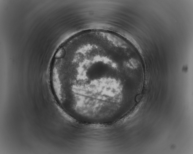 X0000101201037200807251021