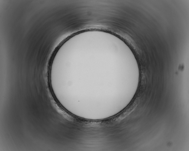 X0000101201038200807251021