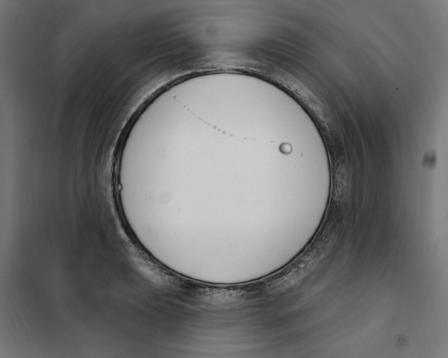 X0000101201039200807251021