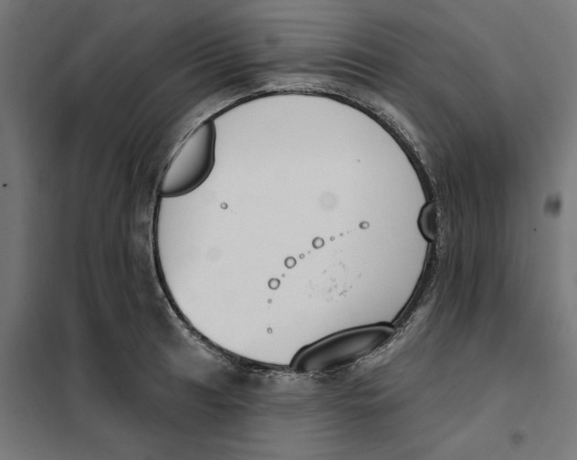 X0000101201041200807251021