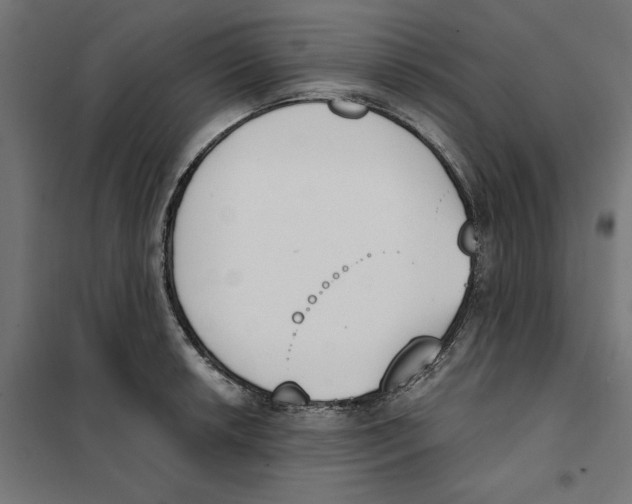 X0000101201042200807251021