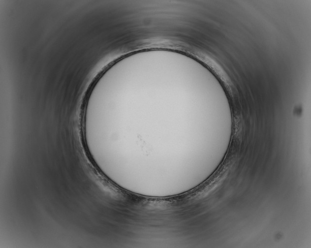 X0000101201043200807251021