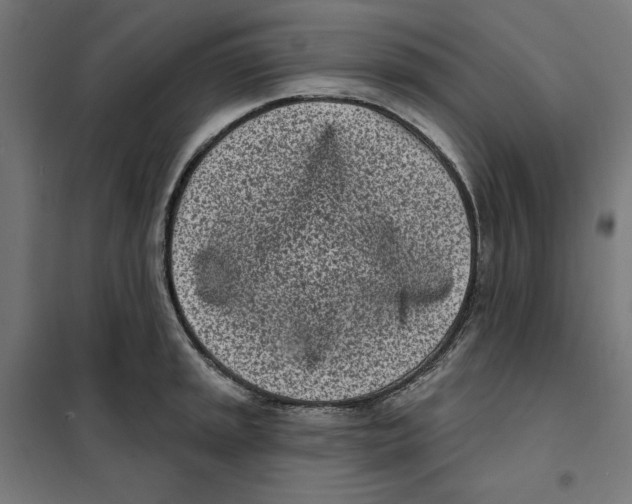 X0000101201045200807251021