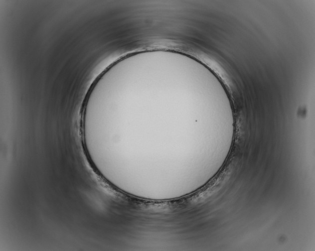 X0000101201047200807251021