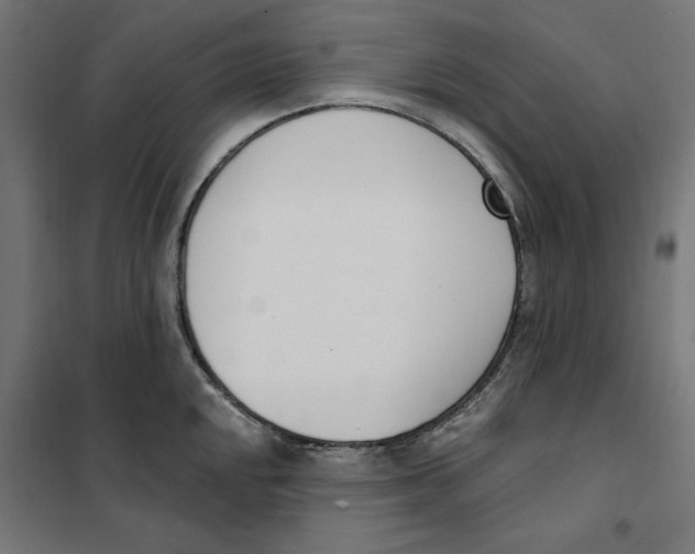 X0000101201048200807251021