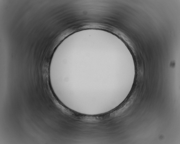 X0000101201049200807251021