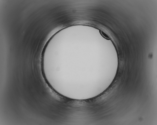 X0000101201050200807251021