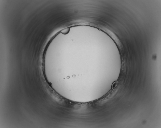 X0000101201051200807251021