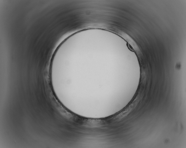 X0000101201052200807251021