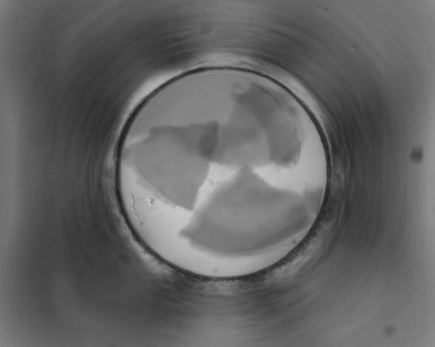 X0000101201053200807251021