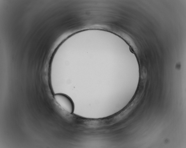 X0000101201054200807251021