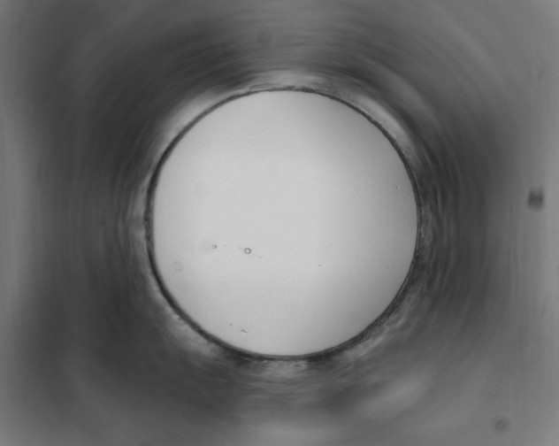 X0000101201055200807251021