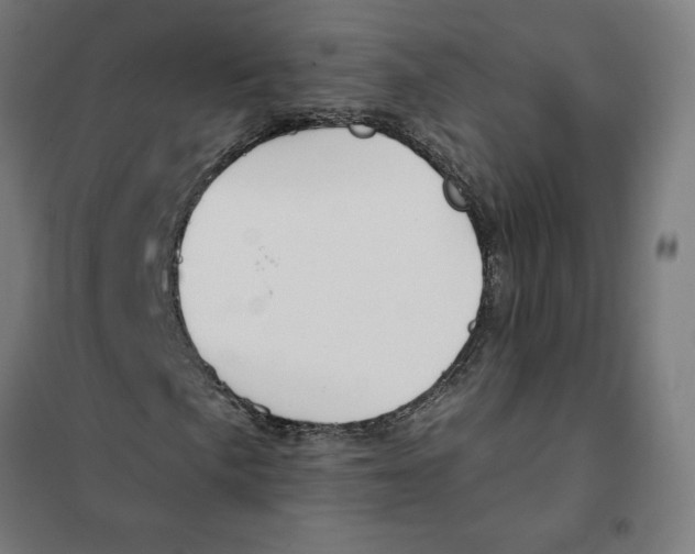 X0000101201057200807251021